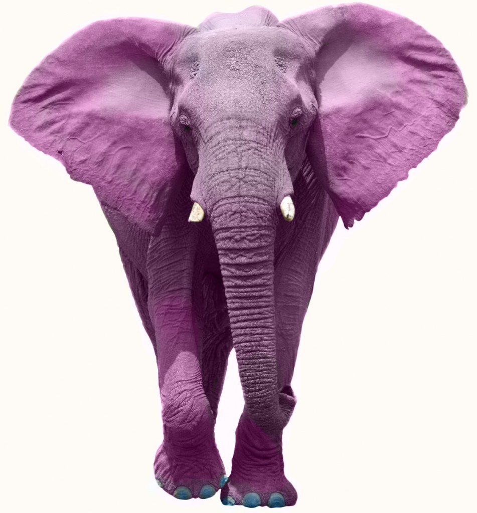 Don't Think About Pink Elephants