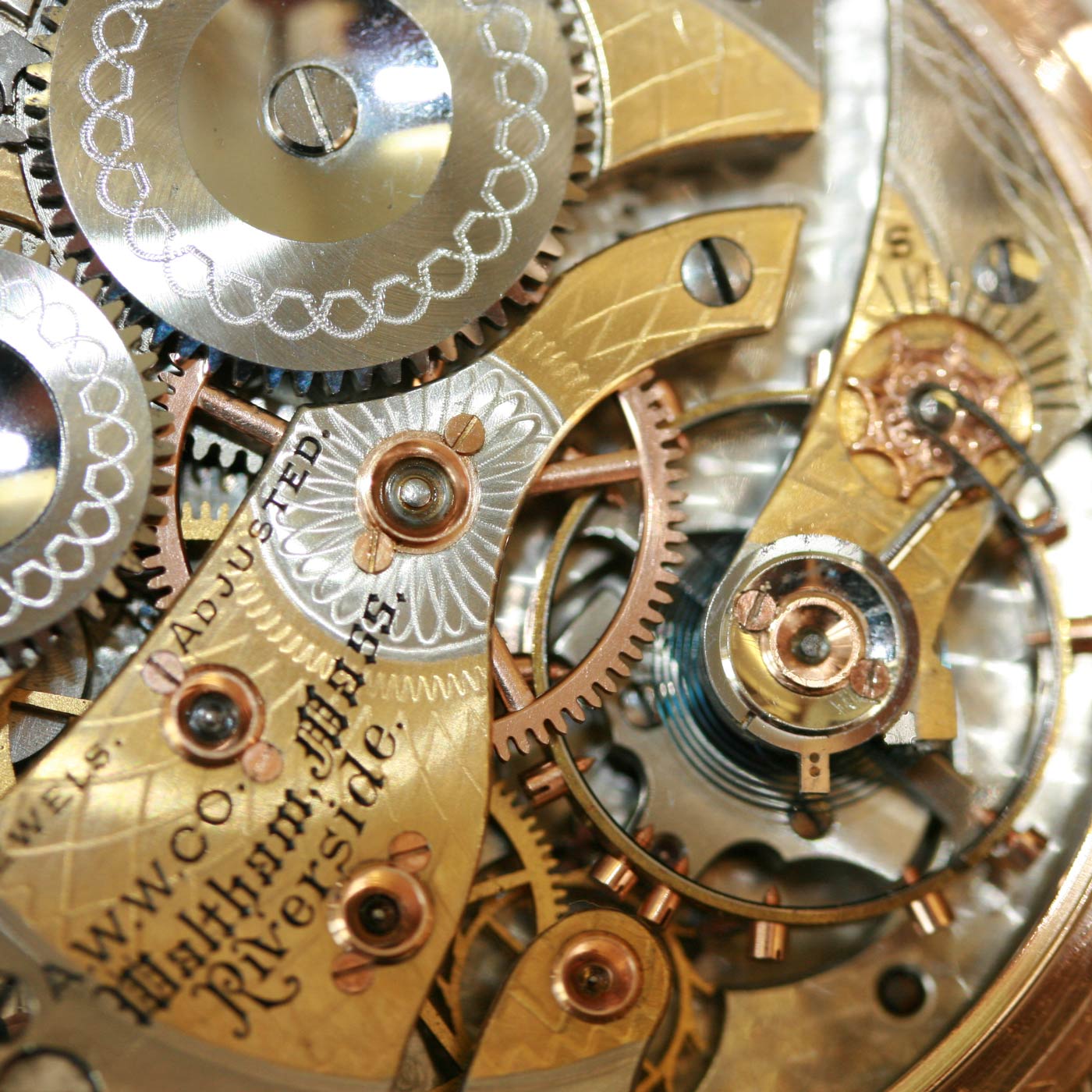 Cog of a Larger Mechanism